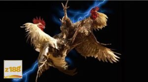 hinh anh da ga 2150477405 Jazz188Link.com