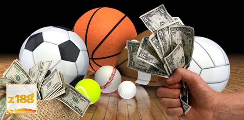 Thể thao Z188 - Quy trình tạo tài khoản đơn giản, thân thiện với người mới